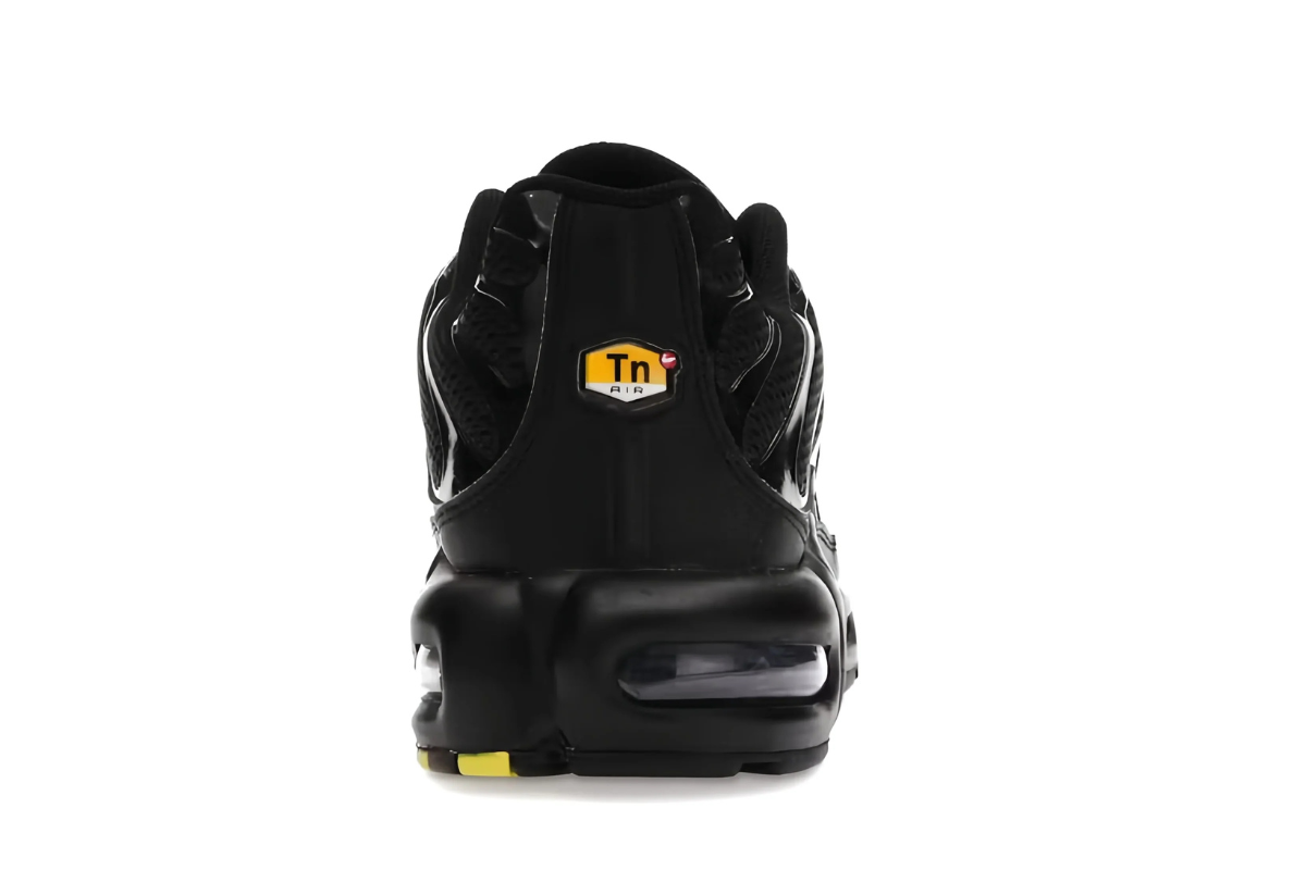 Nike Air Max Plus TN Black